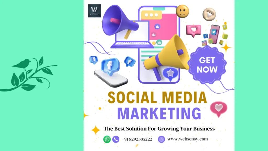 Websensy Social Media Marketing